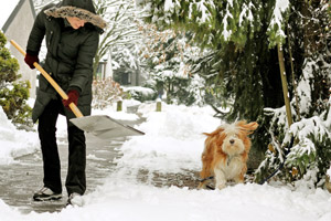 Schneeschippen: Wer, wann und wie oft?