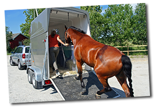 Welchen Führerschein braucht man für einen Pferdeanhänger? Welchen Führerschein braucht man für einen Pferdeanhänger?
