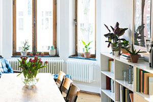 Was tun, wenn Sie Schimmel in der Wohnung finden?