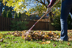 Laub vom Nachbarn und auf dem Gehweg: Wer muss fegen?