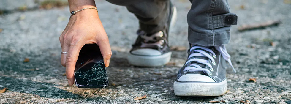 Wem gehören Fundsachen? Fundsachen