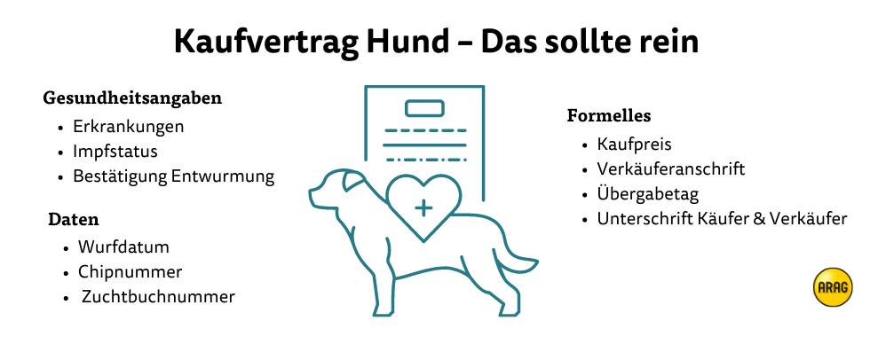 Kaufvertrag Hund – Das sollte rein Kaufvertrag Hund – Das sollte rein