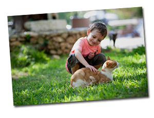 Dürfen Tiere im Gemeinschaftsgarten frei herumlaufen?