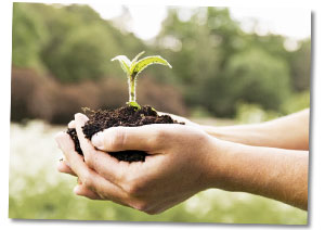 Umwelthaftpflichtversicherung Umwelthaftpflicht