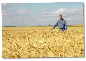 Leistungen der Umweltschadensversicherung Umweltschadenhaftpflichtversicherung