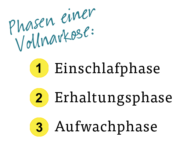 Phasen einer Vollnarkose: Einschlafphase, Erhaltungsphase, Aufwachphase