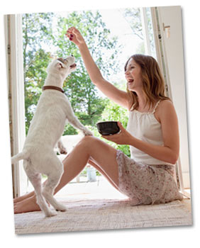 Hundehaftpflichtversicherung