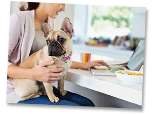 Hundehaftpflichtversicherung Hundehaftpflicht