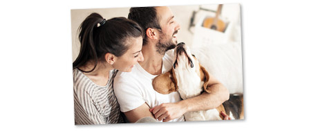 Tierhalterhaftpflicht Hundehaftpflichtversicherung Tierhalterhaftpflicht Hundehaftpflichtversicherung