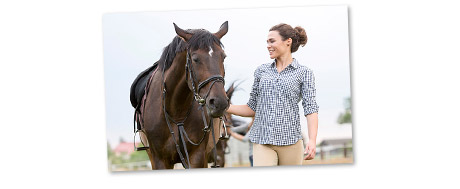 Tierhalterhaftpflicht Pferdehaftpflichtversicherung Tierhalterhaftpflicht Pferdehaftpflichtversicherung