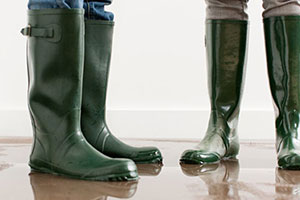 Elementarversicherung