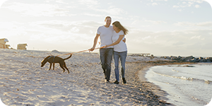 Tierkrankenversicherung – Ihr Schutz im Ausland Tierkrankenversicherung – Ihr Schutz im Ausland