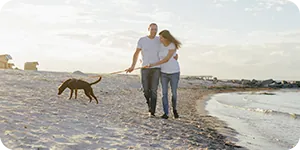 Tierkrankenversicherung – Ihr Schutz im Ausland Tierkrankenversicherung – Ihr Schutz im Ausland