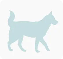 Tierarztrechnung Hund 01 Tierarztrechnung Hund 01