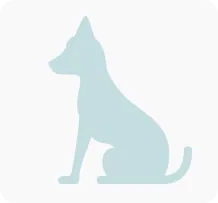 Tierarztrechnung Hund 02 Tierarztrechnung Hund 02