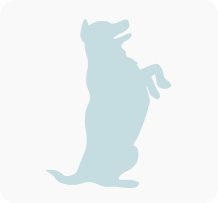 Tierarztrechnung Hund 03 Tierarztrechnung Hund 03