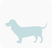 Tierarztrechnung Hund 04 Tierarztrechnung Hund 04