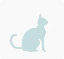 Tierarztrechnung Katze 01 Tierarztrechnung Katze 01