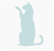 Tierarztrechnung Katze 02 Tierarztrechnung Katze 02