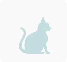 Tierarztrechnung Katze 03 Tierarztrechnung Katze 03