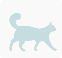 Tierarztrechnung Katze 04 Tierarztrechnung Katze 04