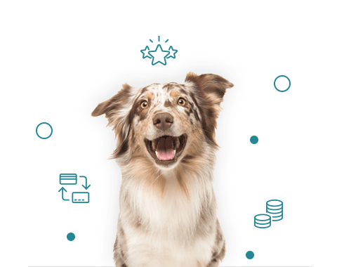 Treuebonus Tierprotect Treuebonus Tierprotect