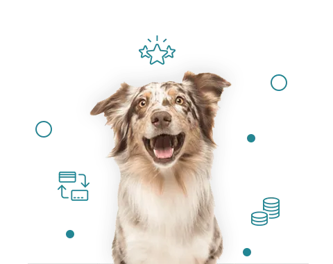 Treuebonus Tierprotect Treuebonus Tierprotect