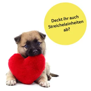 Beratung TierProtect Beratung TierProtect