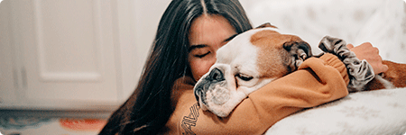 Teaser Hundekrankenversicherung Teaser Hundekrankenversicherung