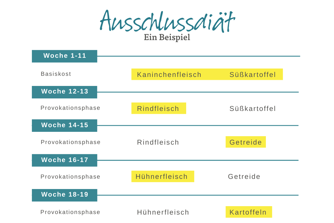 Beispiel für eine Ausschlussdiät bei Hunden