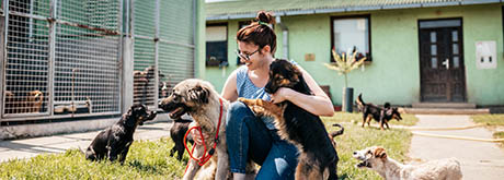 Hund Adoptieren Hund aus dem Tierheim adoptieren