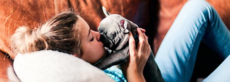 Welpenerziehung und was man beachten muss Welpenerziehung