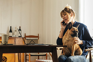 Hundesteuer in Deutschland – Rechtslage zur Anmeldung