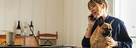 Hundesteuer & andere Vorschriften für Hundehalter Hundesteuer & andere Vorschriften