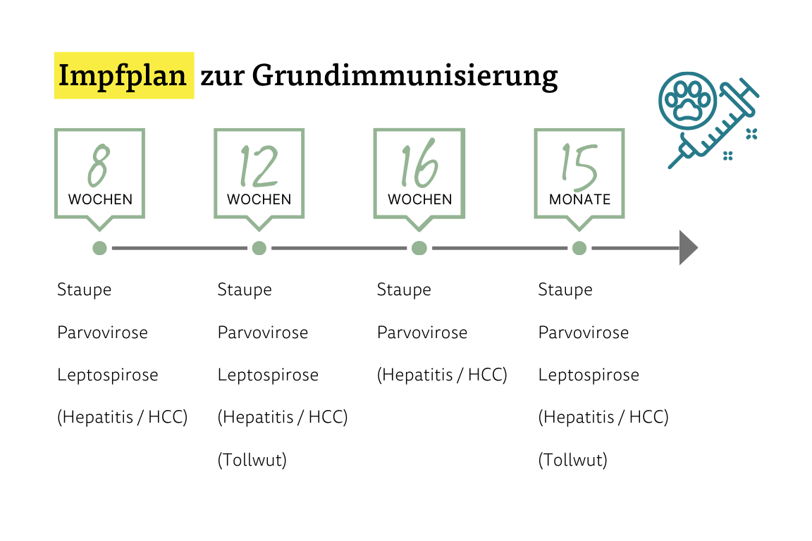 Impfplan zur Grundimmunisierung