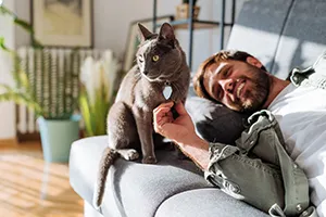 Katze miaut viel – Gründe & Lösungen