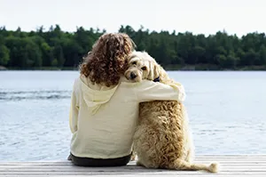 Läufige Hündin – Dauer, Symptome, Tipps