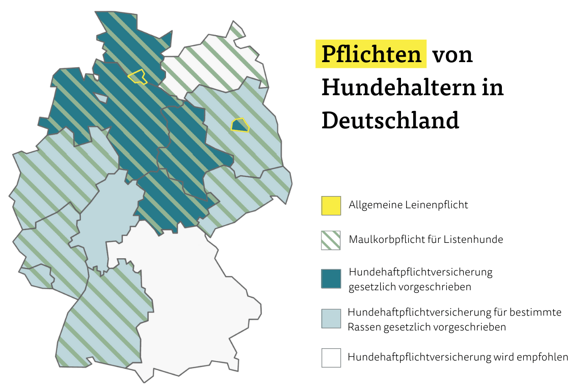 Pflichten von Hundehaltern in Deutschland