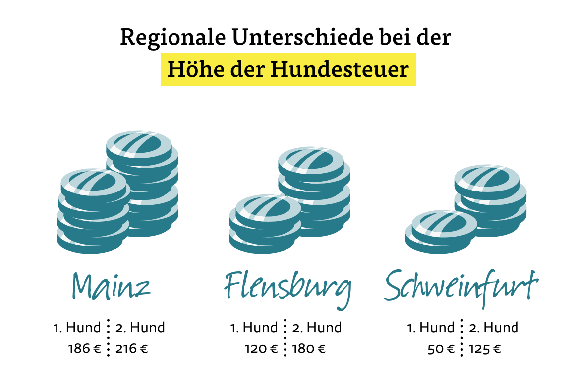 Regionale Unterschiede bei der Höhe der Hundesteuer