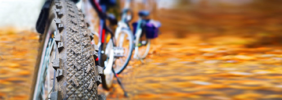 Fahrräder auf Herbstlaub