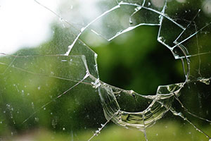 Sport-Vereinsschutz Sport-Vereinsschutz