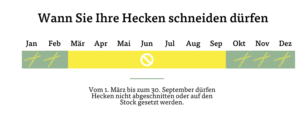 Wann Hecken schneiden erlaubt ist